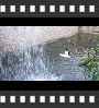 ../pictures/Akron Zoo/DSCF5026_1_small_icon.jpg